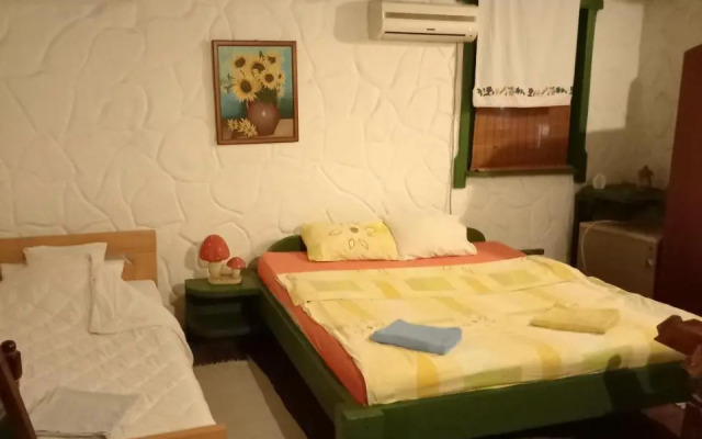 Hotel Aqua Etno Dvorac