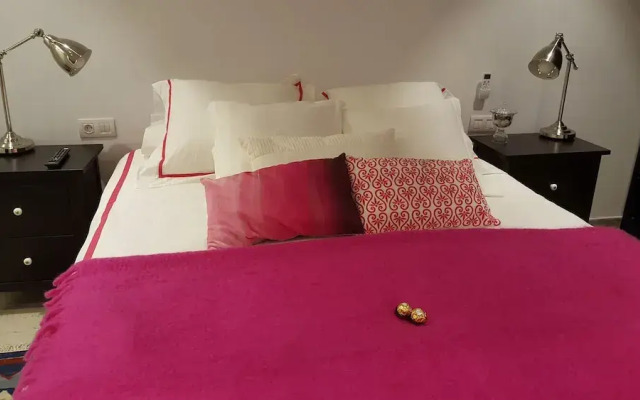 Apartment San Telmo Laspal04