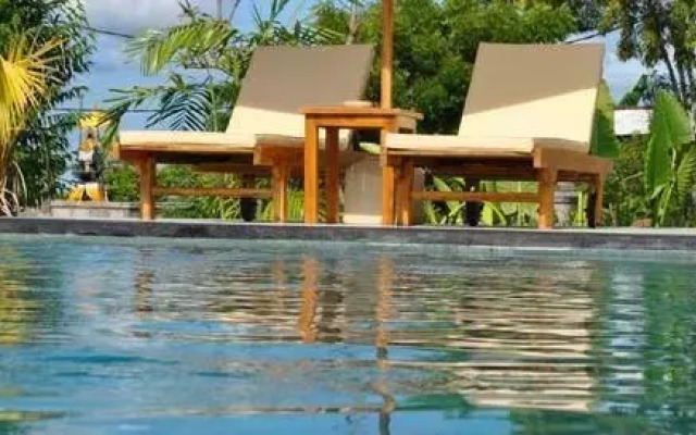 Bali Zona Greens