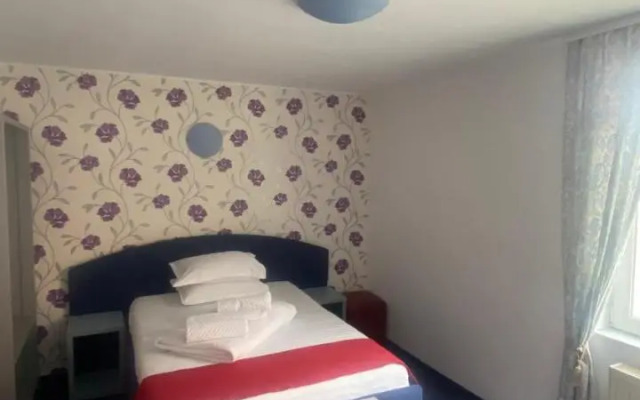 Pension La Viorel