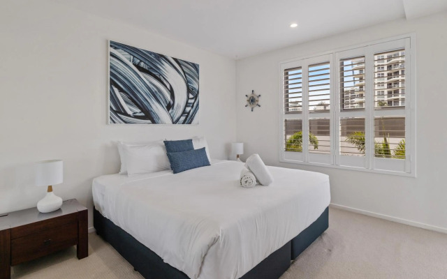 Verve on Cotton Tree