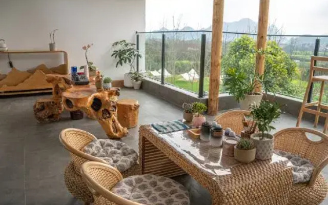 Xingyi Wanfeng Lin Qingfengjuju