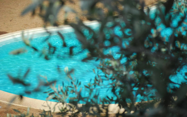 Palazzo Conforti Tree House Resort