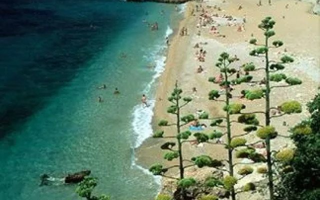Apartments Nerio