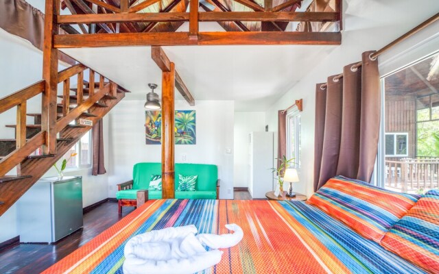 Green Parrot Beach Houses and Resort