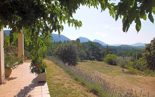 Une Ronce sous le Figuier