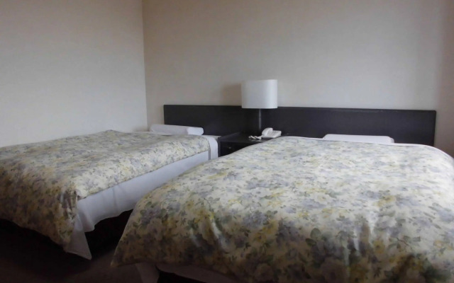 Isawa Onsen Hotel Heisei