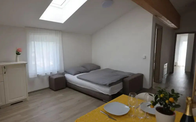 Villa Andrea Apartments - Ljubljana
