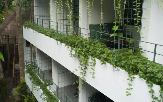 Big Tree Boutique Hotel