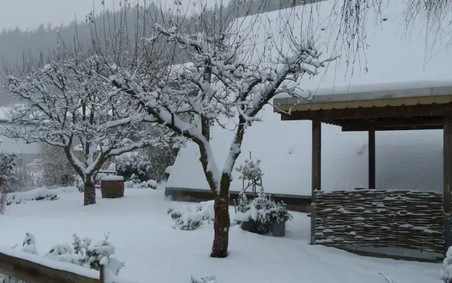 A-frame House in Dreislar Near Ski Slopes