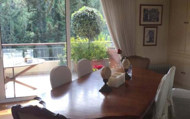 Wondeful Apartment at Lycabettus With Private Pool and Great Views of Athens