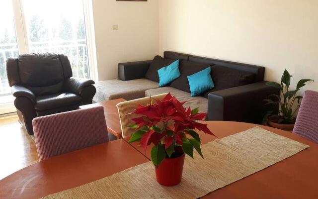 Apartments Paulina