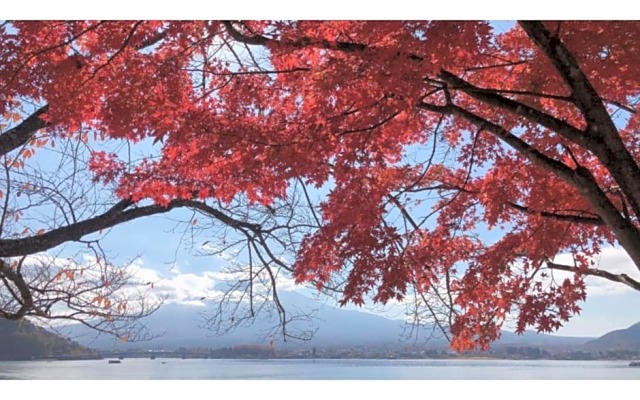 Megu fuji 2021 - Vacation STAY 74532v