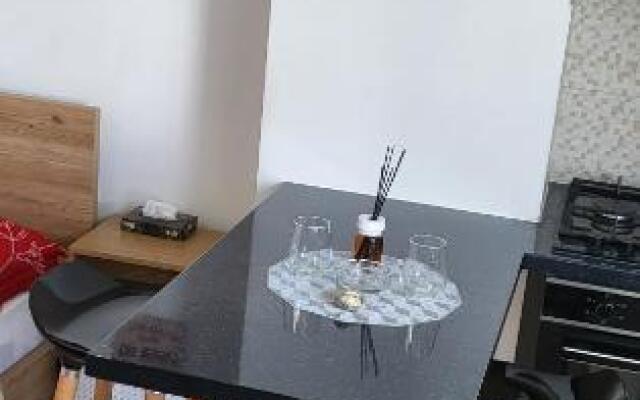 Studio 22 Bulevardul Oltenia