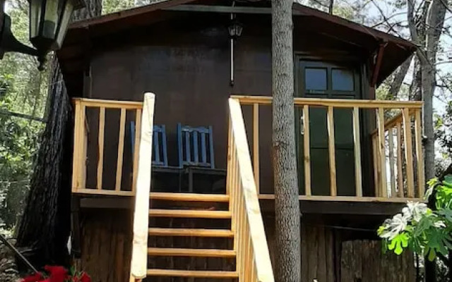 Altaris Bungalows Olympos