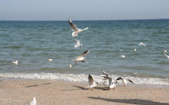 Landhotel Ostseetraum & Fewo