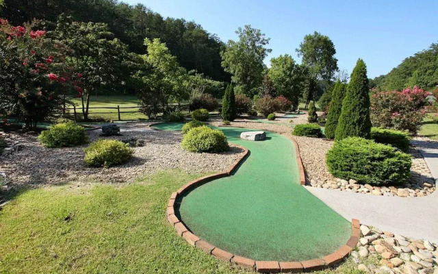 Wild Adventures - One Bedroom Cabin