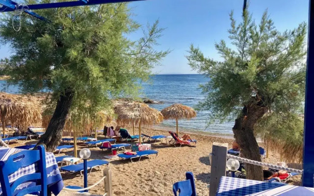 Sea view ground floor 300m from the beach