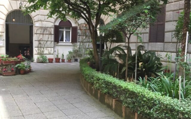 Blue Whale Bed And Breakfast