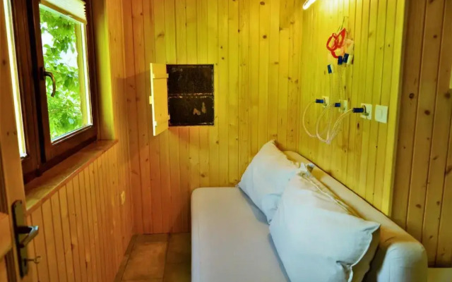 Sleeping with the bees Kozjak