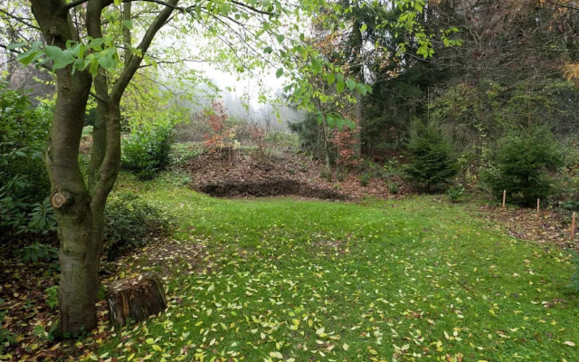 Modern Apartment in Bad Grund wit Garden