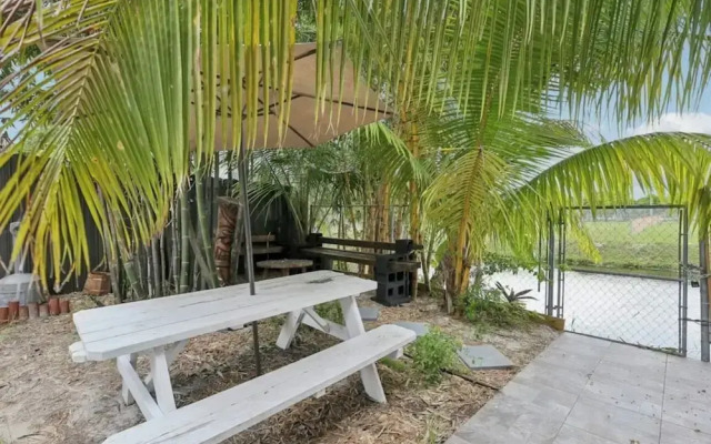 Tropical Miami Oasis