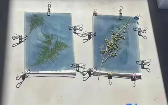 Sanya Yomovo – Bridge House Art Inn