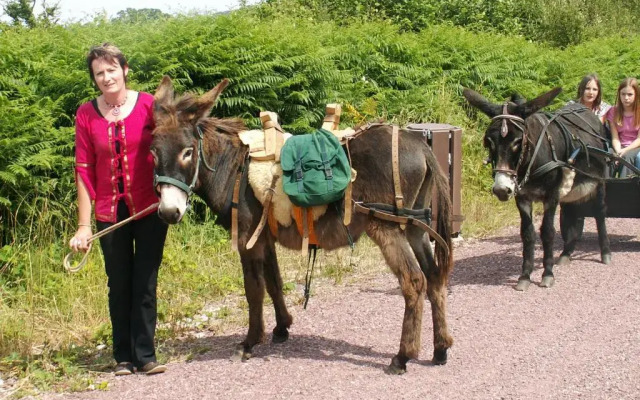 Ecuries Leseigneur - Gite