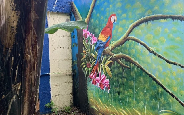 Sana El Jardin Secreto