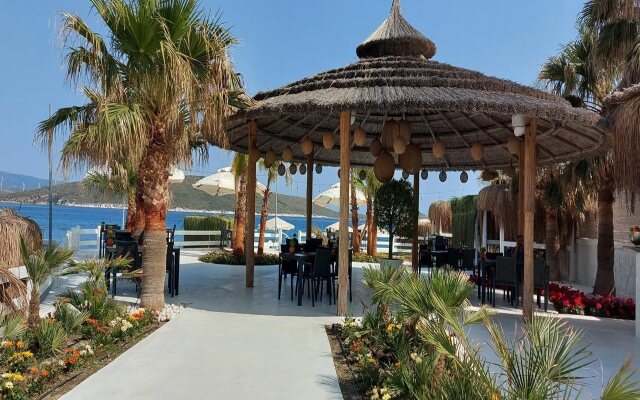 Cocos The Club Solto - Boutique Class