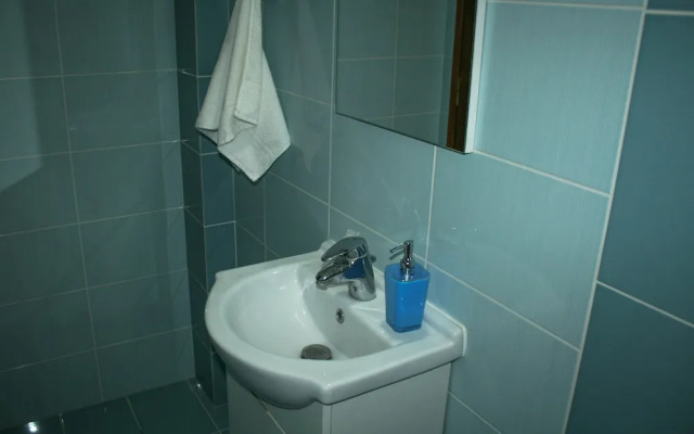 Elina's House
