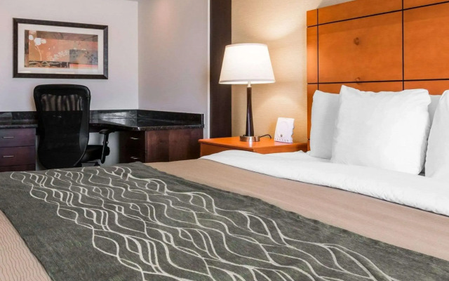 Comfort Inn Metro Airport