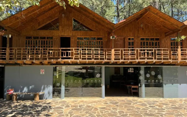 PINE TREE Hotel Boutique & Cabañas