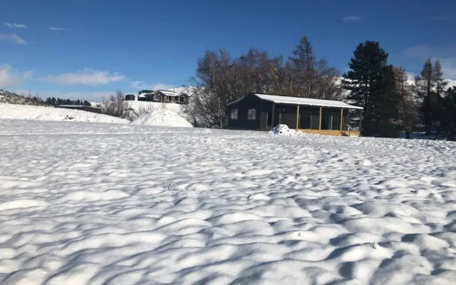 Alpine Views Burkes Pass
