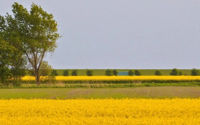 Wattenblick