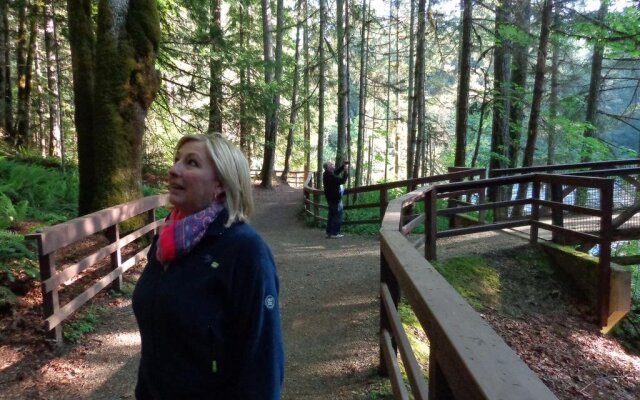 Cedar Song B & B and Cottage