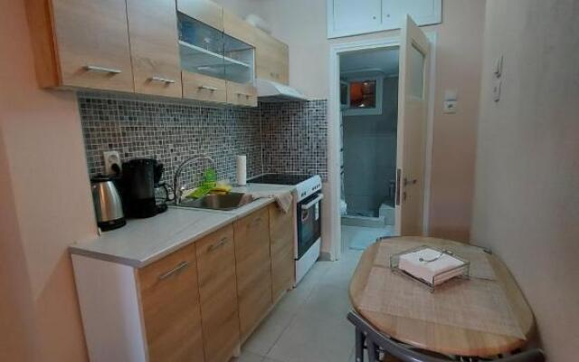 2020 renovated, sunny apartment with yard/garden
