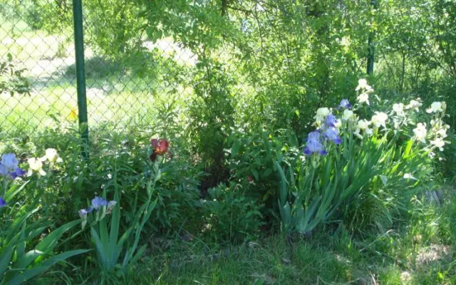 Pensjonat Willa Gold