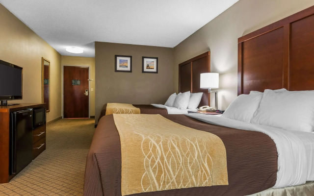 Comfort Inn & Suites Mishawaka - South Bend