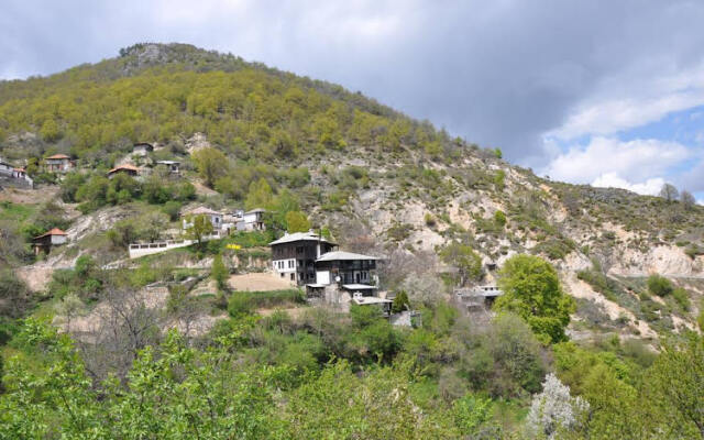 zlatinovi Houses