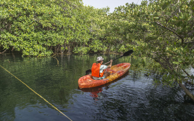 Maya Cabanas & Cenote Tulum