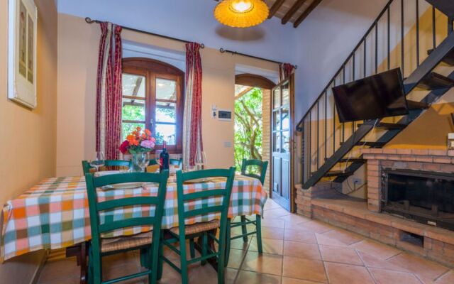 House Falco Riparbella