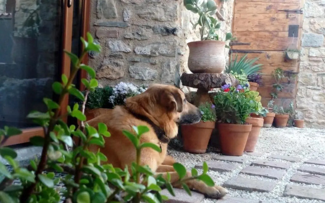 Hotel Font del Genil