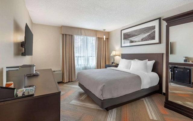 Quality Hotel