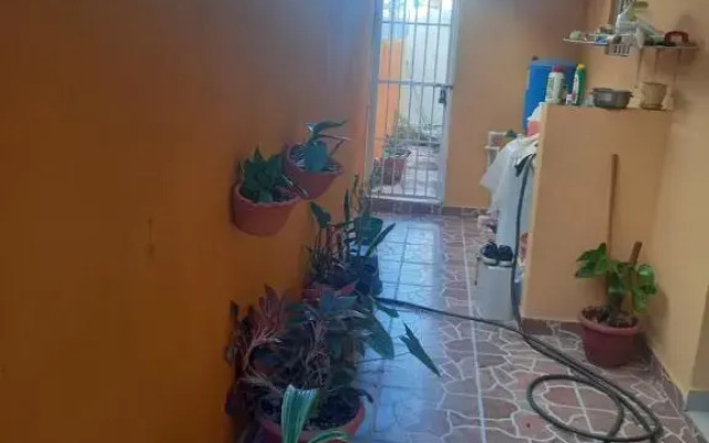 Jardines de tu sueño.