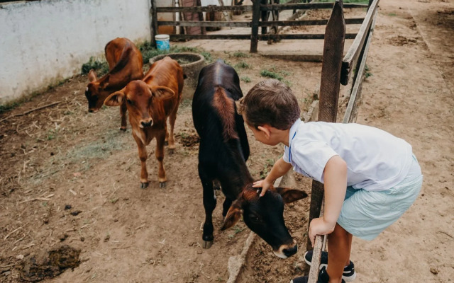 Solar Fazenda Do Cedro