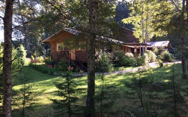Cabañas Pucon - Caburga