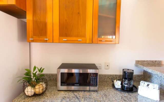 Caribbean Experience Playa Bavaro 2r. (05)