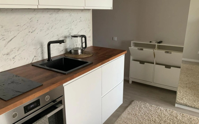 Vieno kambario butas-studija