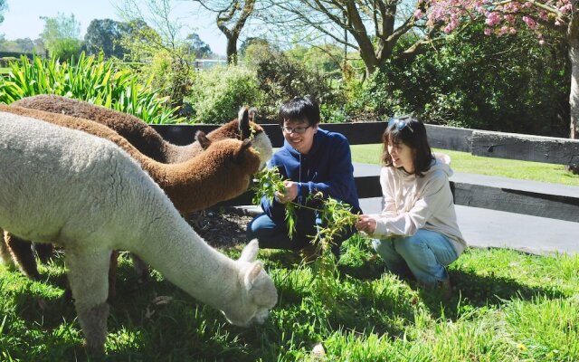 Silverstream Alpaca Farmstay and Tour